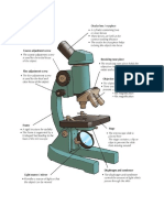 Parts and Function of A Microscope