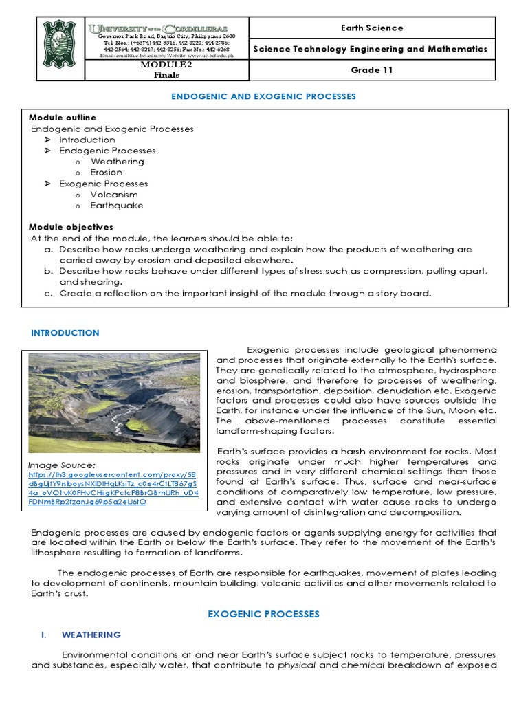 Finals - Module 2 - Earth Science - Exogenic and Endogenic Process | PDF