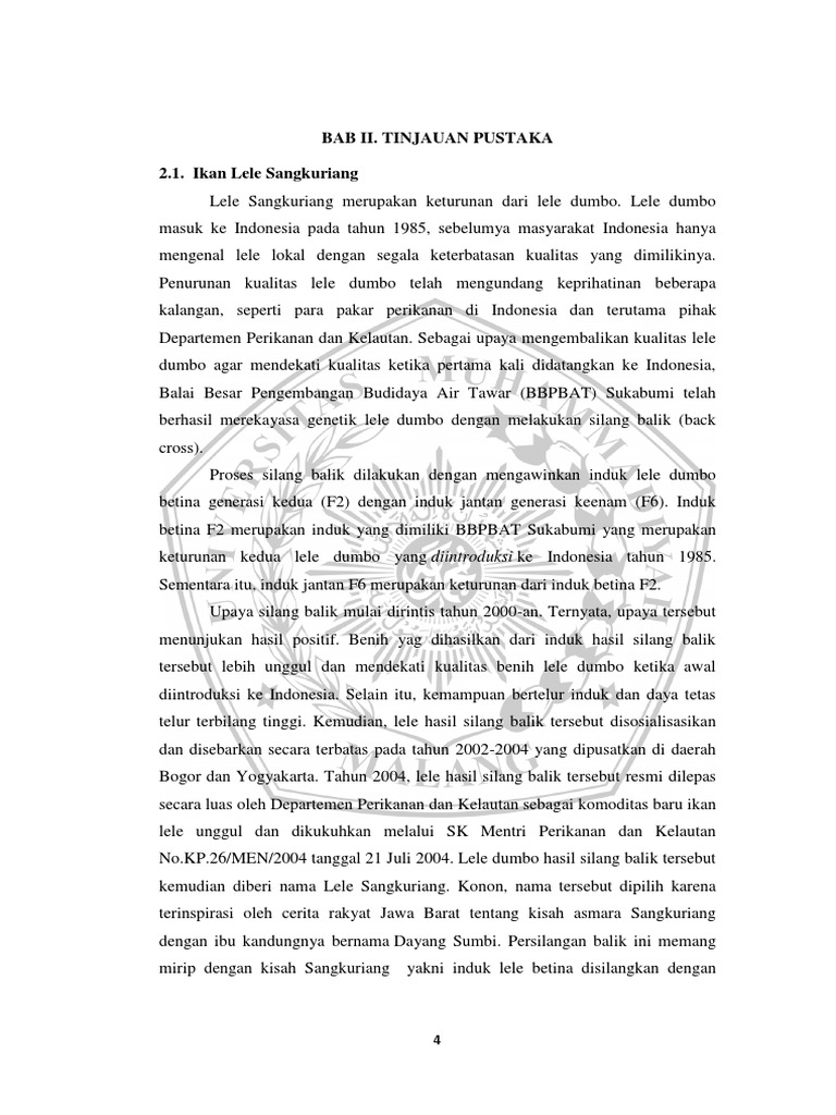 BAB II New | PDF