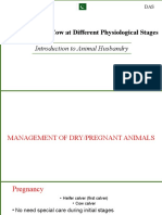 1588580436-3-management-of-cows-at-different-physiological-stages