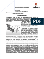 PDF Diagrama de Posselt Compress