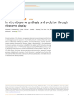 2020 in Vitro Ribosome Synthesis and Evolution Through Ribosome Display