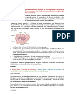 TUTORIA 4 - Compreender A Fisiologia Do Pâncreas Endócrino