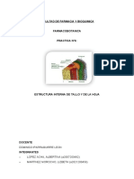 Estructura interna tallo hoja monocotiledóneas