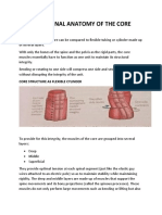 Functional Anatomy of The Core Bped 1