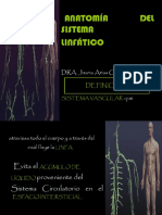 Anatomía DEL Sistema Linfático: DRA. Juana Arias G
