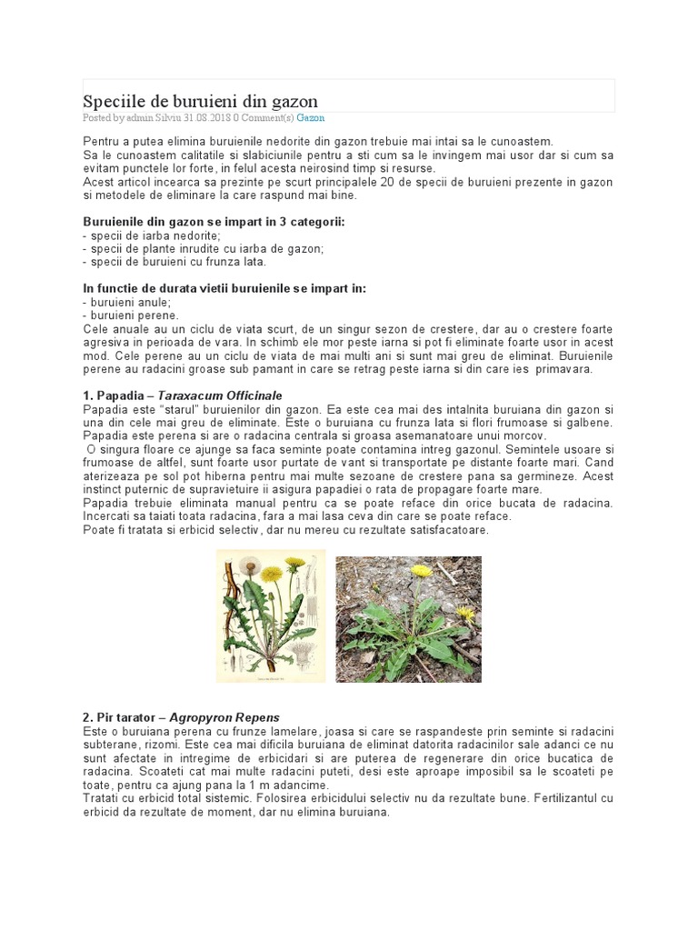 Buruieni Din Gazon | PDF