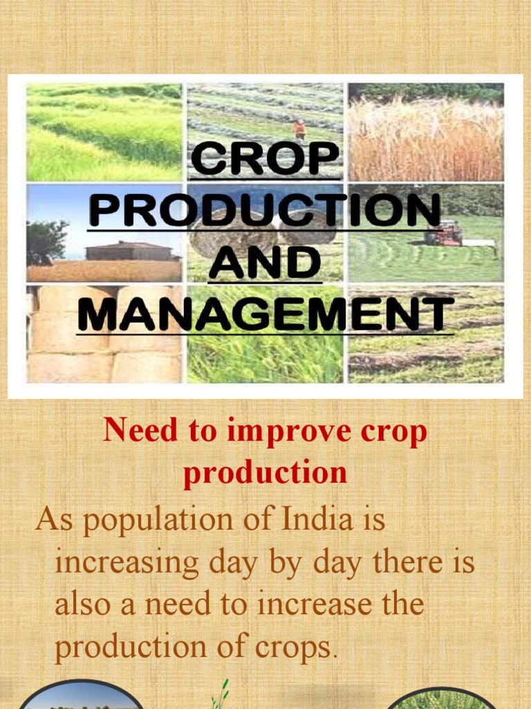 crop-production-pdf