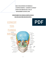 Transcripción Guía de Conceptos