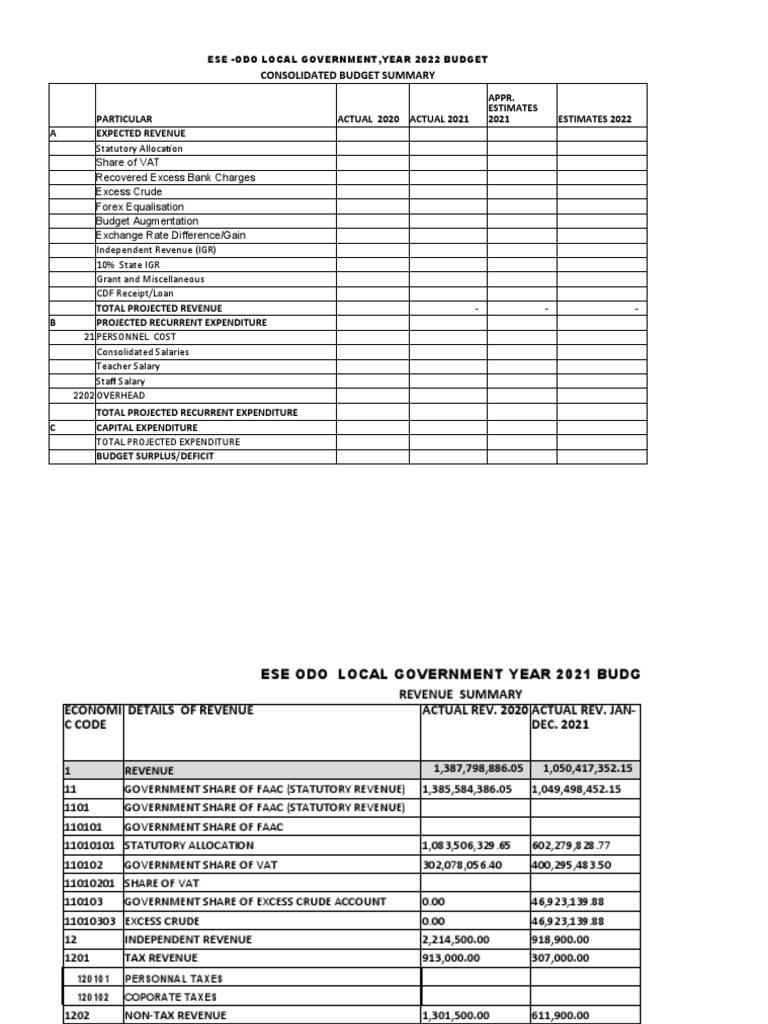 2022 Budget Template | PDF | Revenue | Transport