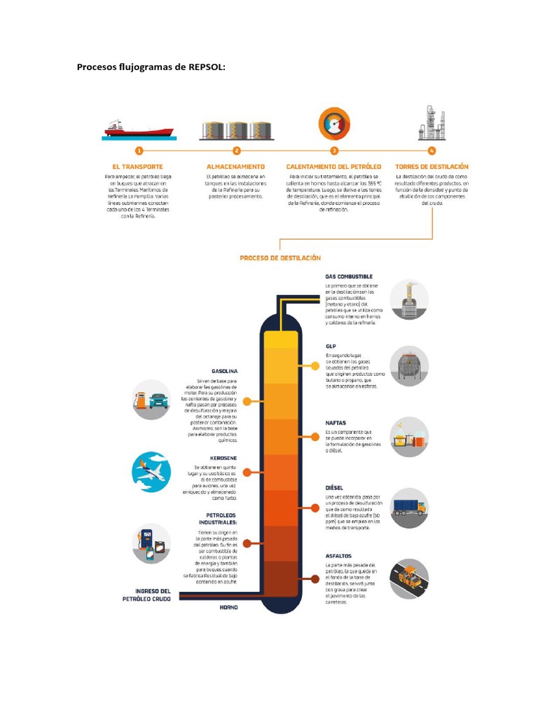 Procesos de Desarrollo Profesional en Repsol | PDF | Liderazgo | Economias