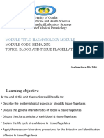 2-Blood and Tissue Flagelates