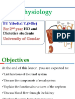 10.renal Physiology