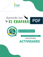 Actividades Aves Esteparias