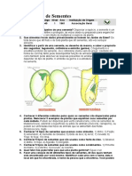 Especialidade de Sementes