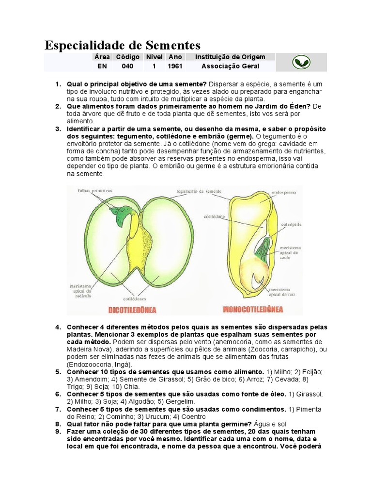 Especialidade e Função das Sementes | PDF | Semente | Plantas