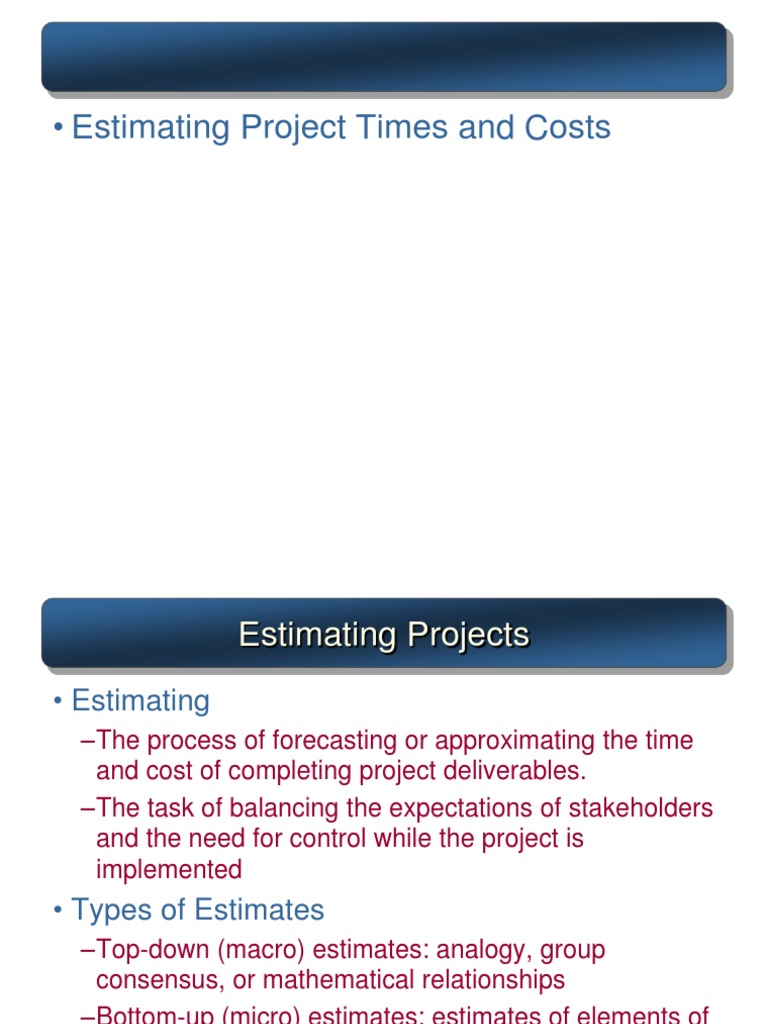 Copy of Project Cost Estimation | PDF