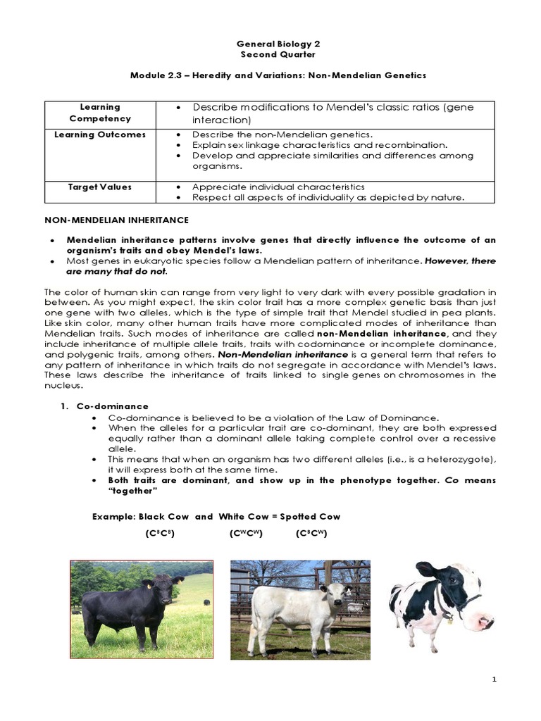 Non-Mendelian Genetics | PDF | Dominance (Genetics) | Zygosity