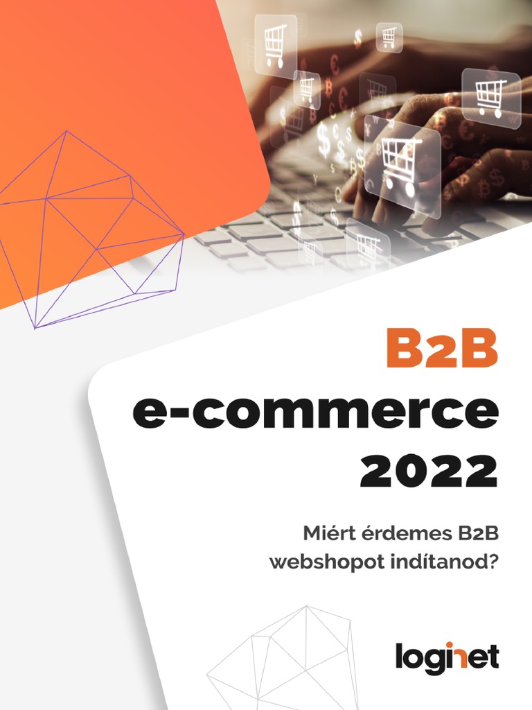 B2b E Commerce Pdf