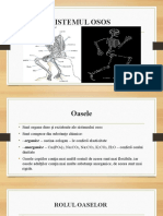 Sistemul Osos