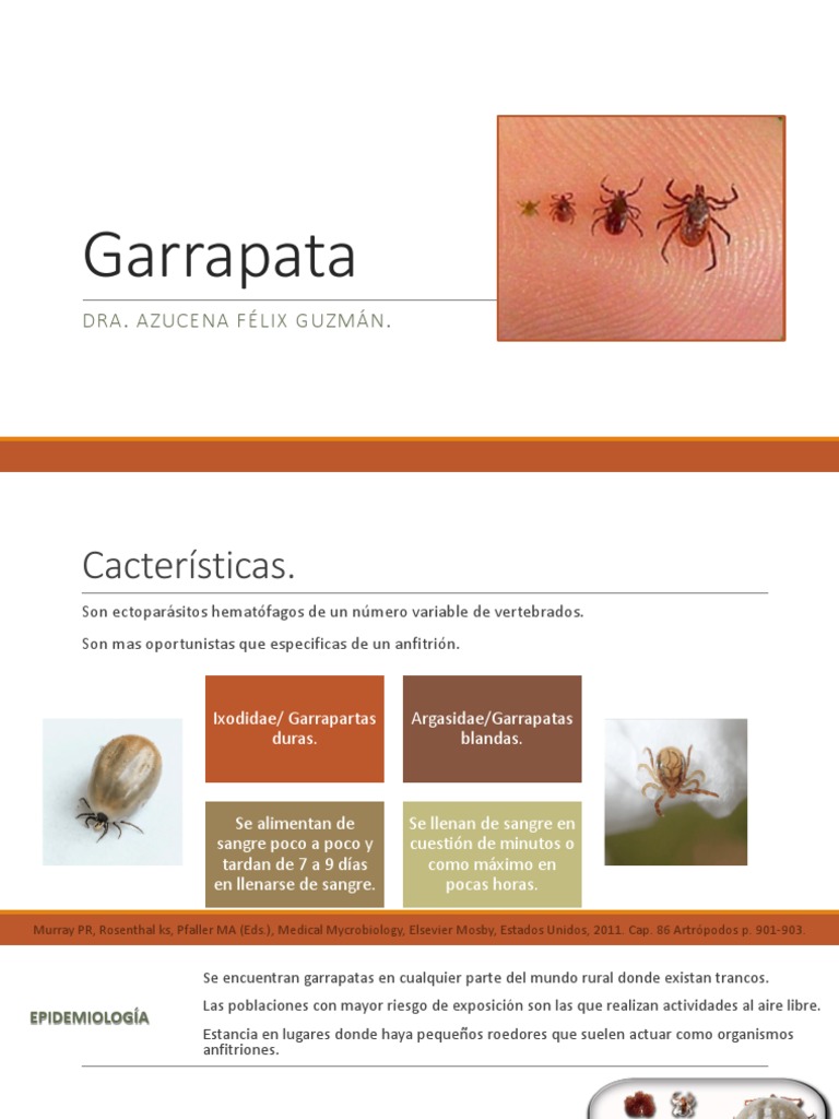Garrapata | PDF | Microbiología | Inmunología