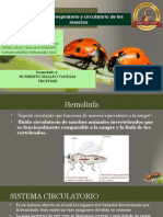 Segundo Trabajo Entomología