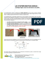 PROTOCOLE EIRAD Moustique Tigre Mars 2021