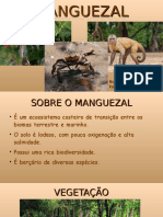 Ed Ambiental - MariaClaudiaRangel - Manguezal - POLO ITO PDF - Compressed