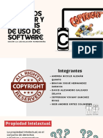 Derechos de Autor y Licencias de Uso de Software