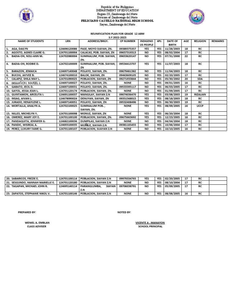 Reunification Plan PDF