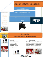 Trabajo de Benjamin Pagina Web 3AÑO Seccion B