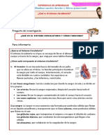 D4 A1 FICHA ¿Qué Es El Sistema Circulatorio