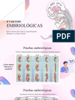 Antropología Pruebas Embriológicas
