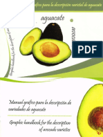 MGDVAguacate