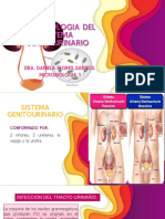 Bacteriología Sistema Genitourinario