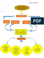 Ramos-Karina-Mapa Conceptual Sobre El Ciclo de Vida de Proyectos