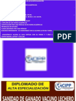 Diplomado de Alta Especialización - Cipp - Octubre 2022