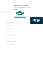 Proyecto de Contaminación Ambiental