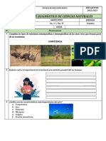 9no CCNN Evaluación Diagnóstica