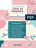 Tipos de memoria MLP y MCP