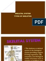 Skeletal '''''