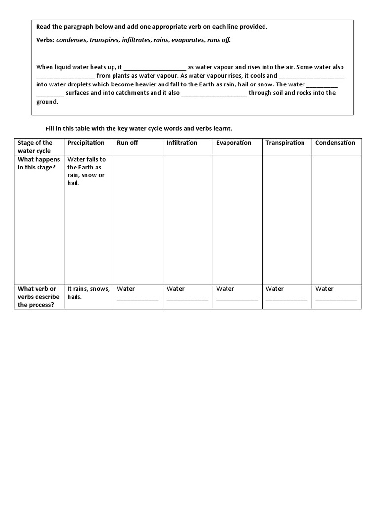 Lesson 3 Water Cycle Handout PDF