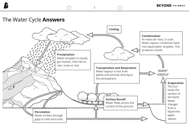 Water Cycle Answers PDF