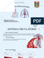 Jackelin Ciencia y Tegnologia Sistema Circulatorio