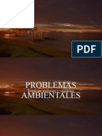 Problemas Ambientales