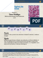 Practica 2 Histología