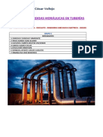 Informe 2 - Semana 3 - PERDIDAS HIDRAULICAS EN TUBERIAS - Grupo 5 PDF