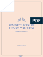 Administracion de Riesgos y Seguros 2