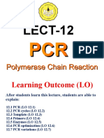 Understanding PCR: A Guide to Polymerase Chain Reaction