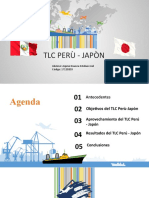 TLC PerúJapón - Aquise Huanca Esteban Joel